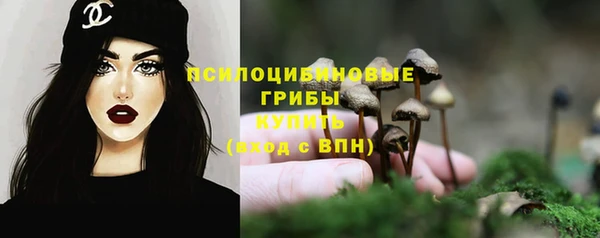 ешки Алексеевка