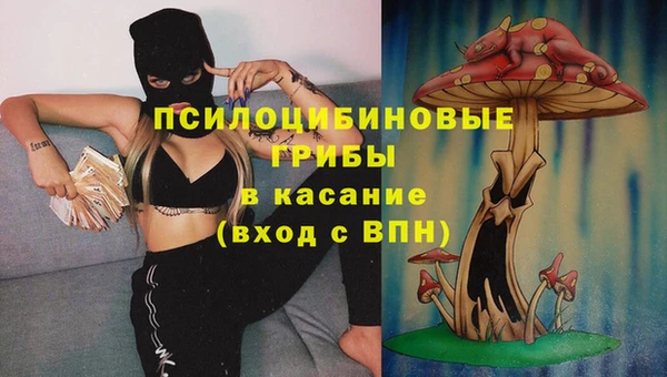 ешки Алексеевка