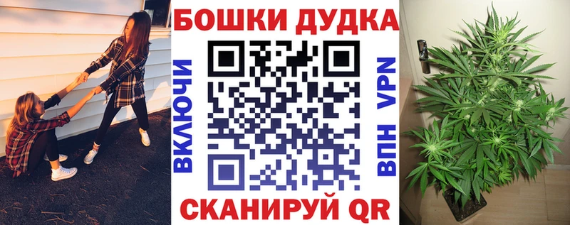 OMG ONION  Моздок  Канабис OG Kush 